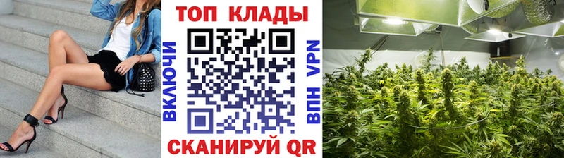 Сколько стоит Каменногорск COCAIN  Бошки Шишки  Меф мяу мяу  hydra ССЫЛКА  Гашиш  АМФ  Бутират 