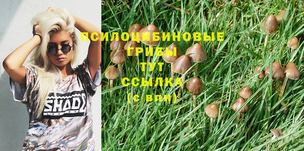 соль курить ск Тайга