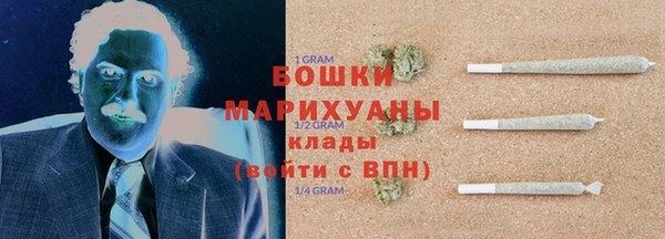 шишки Сясьстрой