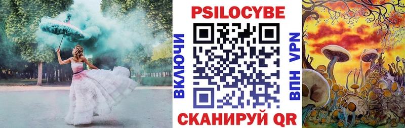 купить сайты Каменногорск mega рабочий сайт Псилоцибиновые грибы прущие грибы